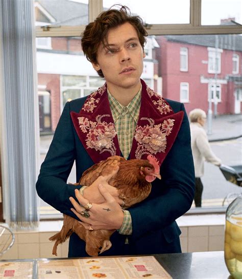 harry styles gucci 2019|Harry Styles new Gucci.